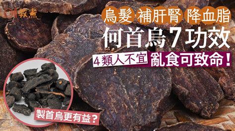 何首烏是什麼|何首烏有分顏色，料理用途、食補效果都不同？